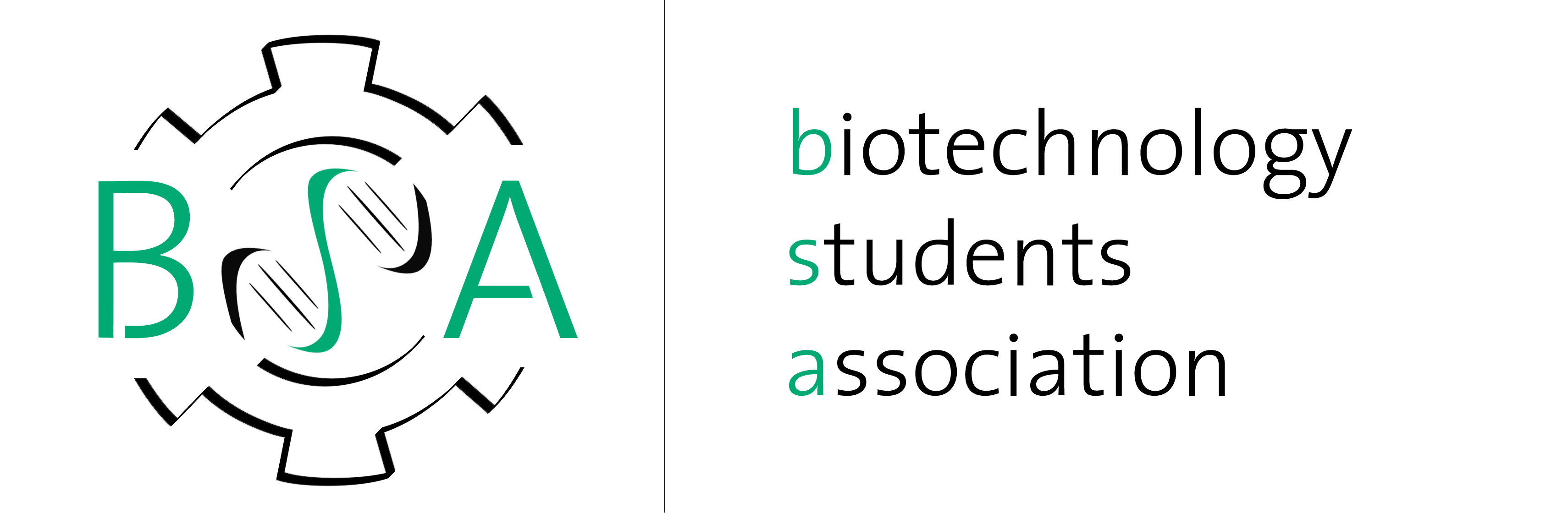 BSA Logo